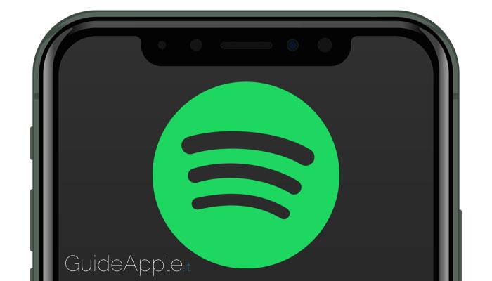 Come eliminare la cache di Spotify su iPhone e iPad